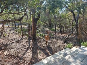 Zahrada ubytování House Motswiri