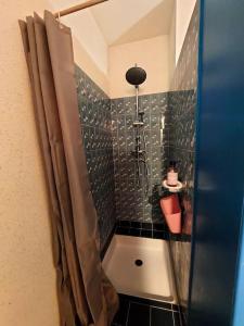 Gallery image of Chez Koryne in Loudun