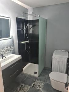 a bathroom with a shower and a toilet and a sink at Chemnitz - Home Sweet Home in Chemnitz