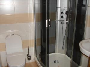 a bathroom with a shower with a toilet and a sink at Nelly Apart in Kyiv