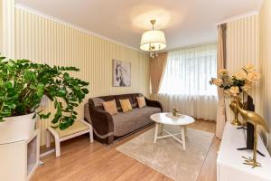 Χώρος καθιστικού στο 2 kambarių apartamentai su virtuve, Trakų miesto centre