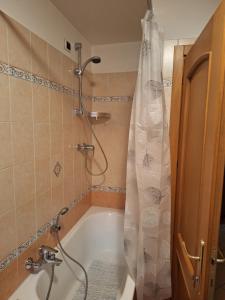 Koupelna v ubytování Appartamento Adele + 9 fotografií