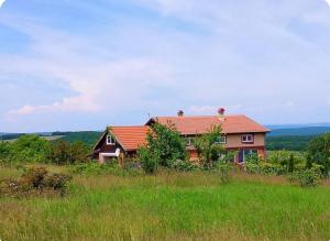 a house sitting on top of a grassy hill at Wild house Goriza in Goritsa