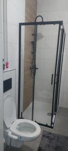 a bathroom with a toilet and a glass shower at Apartman Oaza Tuzla in Tuzla
