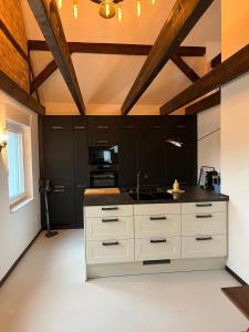 Kuchyň nebo kuchyňský kout v ubytování Ferienwohnung Seeblick am Muldestausee
