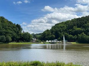 a lake with a fountain in the middle of it at Ferienhaus Seeblick in Biersdorf
