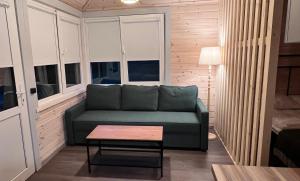 a living room with a green couch and a table at Cabin Juodupė in Endriuškaičiai +14 photos