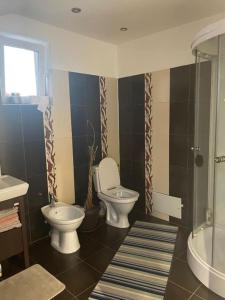 a bathroom with a toilet and a sink and a shower at BRT Apartment in Floreşti