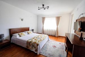 a bedroom with a bed and a dresser and a window at Vila Ghita in Vişeu de Jos +41 photos