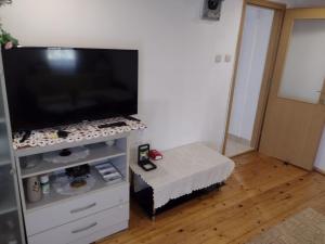 TV a/nebo společenská místnost v ubytování Nike house