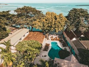 查汶Blue Turtle Hotel Samui的俯瞰泳池、树木和海洋