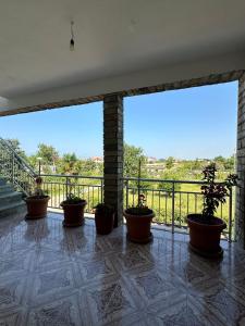 a balcony with potted plants and a railing at The Cuni Castle in Shkodër