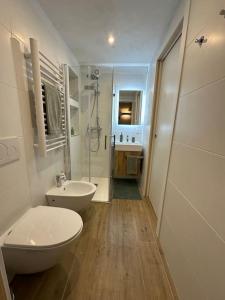 a bathroom with a toilet and a sink and a shower at Casa sul ruscello - piano terra Casa Gauguin in Arcegno