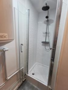 a shower with a glass door in a bathroom at Bel appartement en face de la pépinere de Nancy Stanislas in Nancy +6 photos