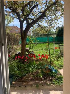 En have udenfor 'StudioCDG fr' Cerisier, Studio proche near CDG Roissy airport, Parc Expositions, Stade de France, Arena, Disney, Asterix