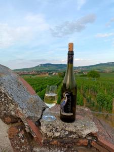 Drinks på Vinařství Volavka