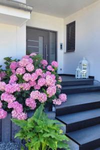 Ein paar rosa Blumen vor einem Haus in der Unterkunft Luxury Appartement Marz, Europa Park- Rulantica in Mahlberg