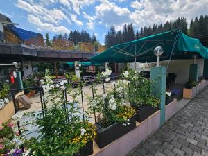 Zahrada ubytování Ski&Bike Nassfeld Apartments