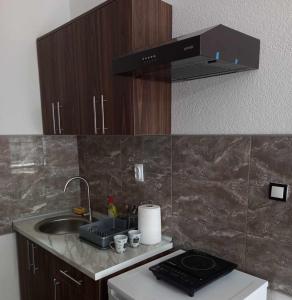 Kuchyň nebo kuchyňský kout v ubytování Apartmani DB na Limu, Prijepolje