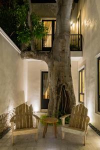 due sedie e un tavolo accanto a un albero di Luxury Historic 5BR Boutique hotel in Centro Walkable & Pool a Mérida