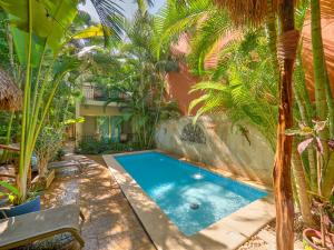 a swimming pool in a garden with palm trees at Casa Del Maya Bed & Breakfast in Mérida