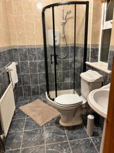 a bathroom with a shower and a toilet and a sink at Madeleines place in Galway