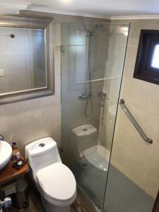 Afbeelding uit fotogalerij van HOTEL VOLKANICO in Curacautín