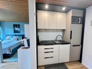 Η κουζίνα ή μικρή κουζίνα στο Ferienapartment Buchenberg