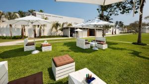 a group of chairs and umbrellas on a lawn at Palacio Mundo Imperial Riviera Diamante Acapulco in Acapulco +90 photos