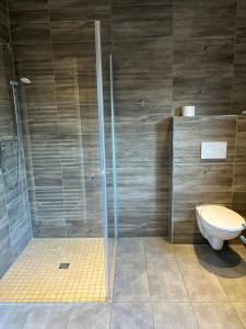 a bathroom with a shower and a toilet at Haus Taunusblick in Lahnstein +9 photos