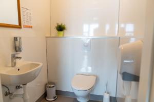 a bathroom with a toilet and a sink at Vogar Travel Service in Myvatn