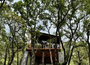 a tree house in the middle of some trees at Casa Alfeñique in Villa del Carbón