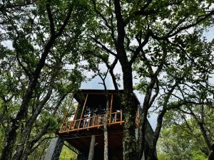 Příroda nedaleko luxury tent