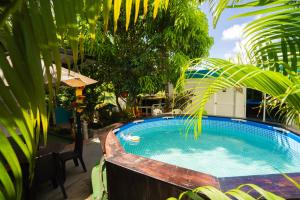 a swimming pool in a yard with palm trees at Posada Stoy Place in Providencia
