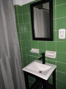 a green bathroom with a sink and a mirror at MOVISTAR ARENA confort in Buenos Aires