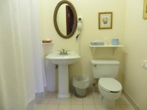 a bathroom with a toilet, sink, and mirror at Auberge Montebello in Montebello