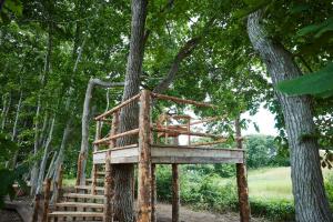 a tree house in a tree at SONEKA in Kitahiroshima