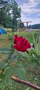 Zahrada ubytování Eco Village Podgora Household Kaljevic