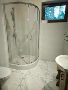 a bathroom with a shower and a toilet and a sink at Roztoczańska Przystań in Majdan Sopocki +17 photos
