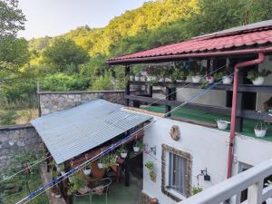 Příroda nedaleko penzionu