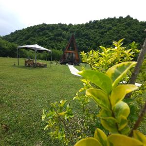 Giardino di Canyon garden martvili