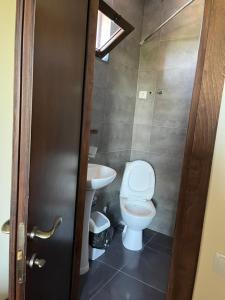 a bathroom with a toilet and a sink at HOTEL Dadu in Batumi