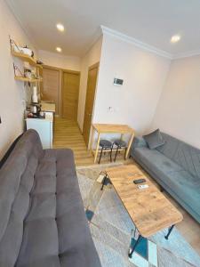 Kuchyň nebo kuchyňský kout v ubytování Dila Apart Hotel