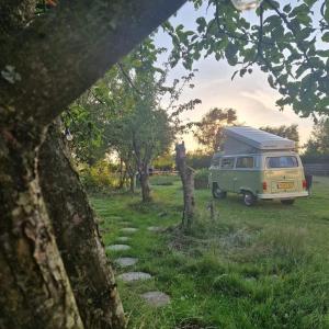 Zahrada ubytování Tipi Luna