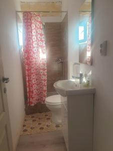 a bathroom with a toilet and a sink and a shower at Mini vacanta in Tăşnad +12 photos