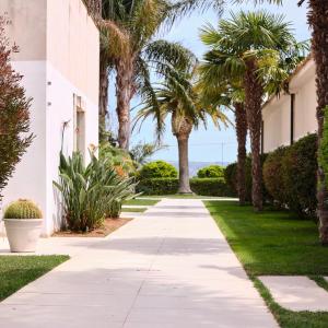 a sidewalk in front of a building with palm trees at Hotel Villa San Bartolo in Vittoria