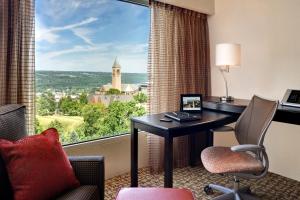 Příroda nedaleko hotelu