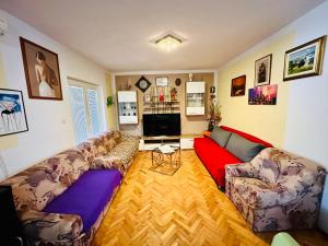 Televízia a/alebo spoločenská miestnosť v ubytovaní Apartments Baraba