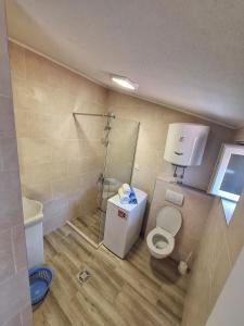 une petite salle de bain avec toilettes et douche dans l'établissement Old street studio, à Risan