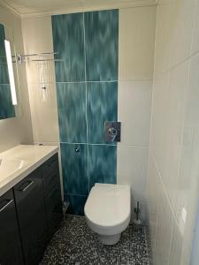 a bathroom with a toilet and a sink at Leviki in Levi +15 photos